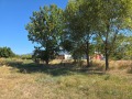 Продава  Земеделска земя област Кюстендил , с. Яхиново , 1 дка | 29283371 - изображение [4]