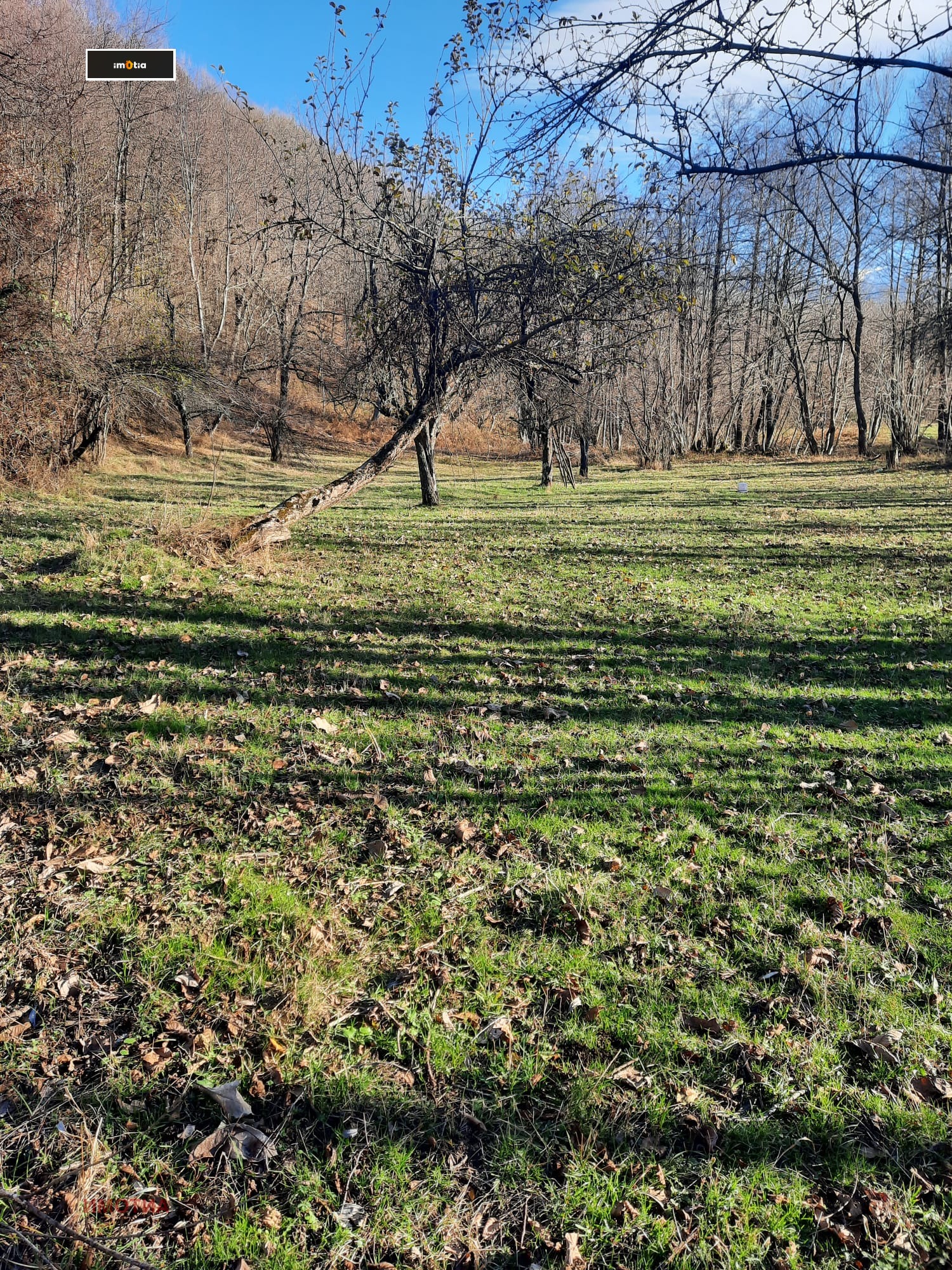 ������� ������ | Imot.bg � ����������� 5