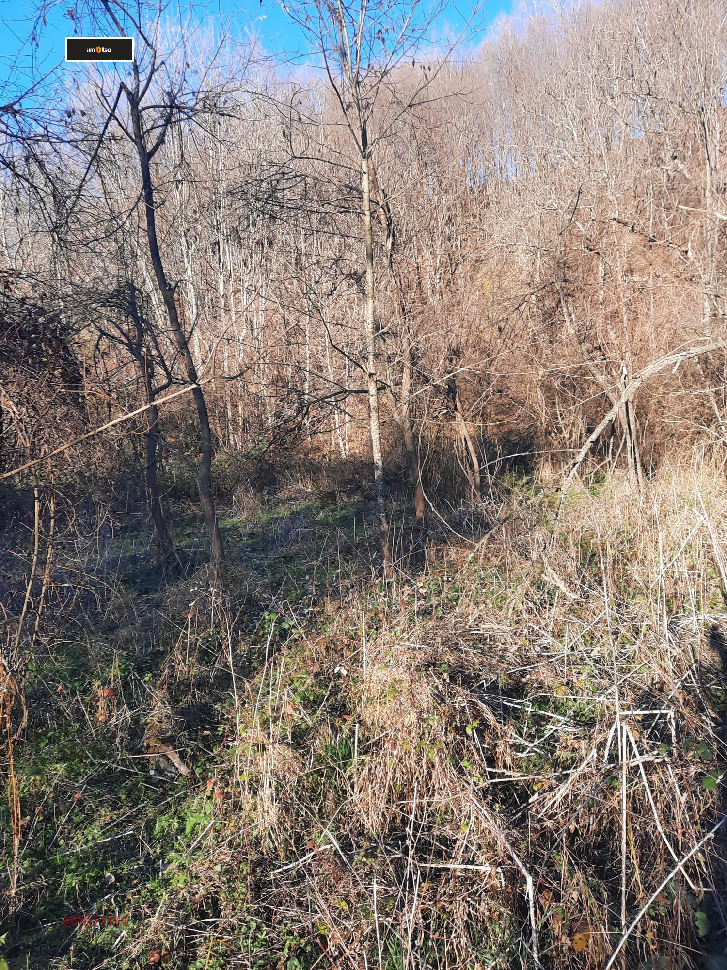 ������� ������ | Imot.bg � ����������� 9