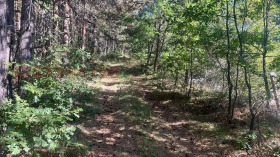 ������� ������ | Imot.bg � ����� ������ 3