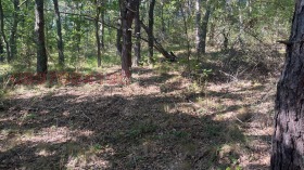 ������� ������ | Imot.bg � ����� ������ 2