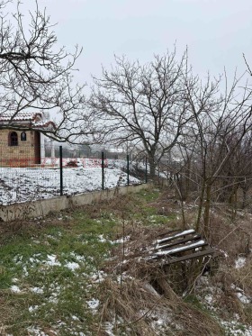 ������� ������ | Imot.bg � ����� ������ 2