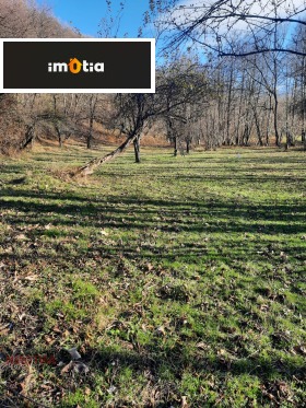 ������� ������ | Imot.bg � ����� ������ 5