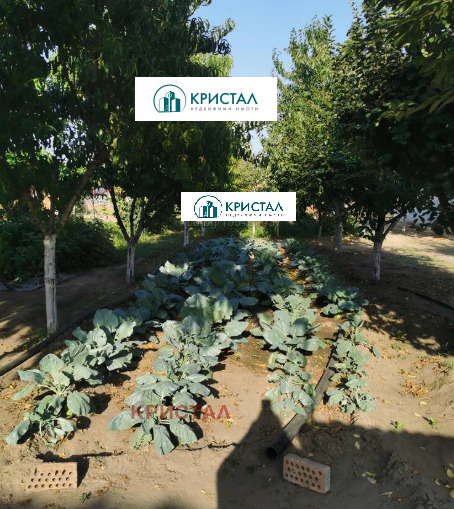 En venta  Casa región Plovdiv , Golyam chardak , 154 metros cuadrados | 12261379 - imagen [8]