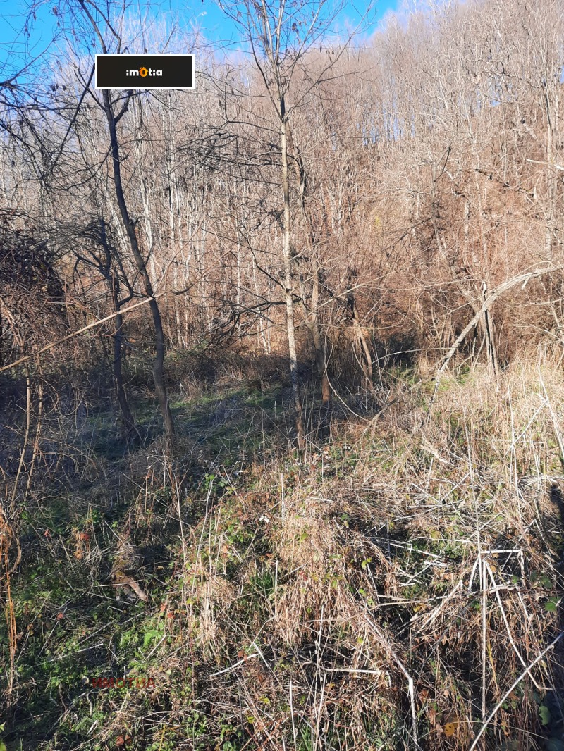 Продава ПАРЦЕЛ, гр. Априлци, област Ловеч, снимка 9 - Парцели - 53414089