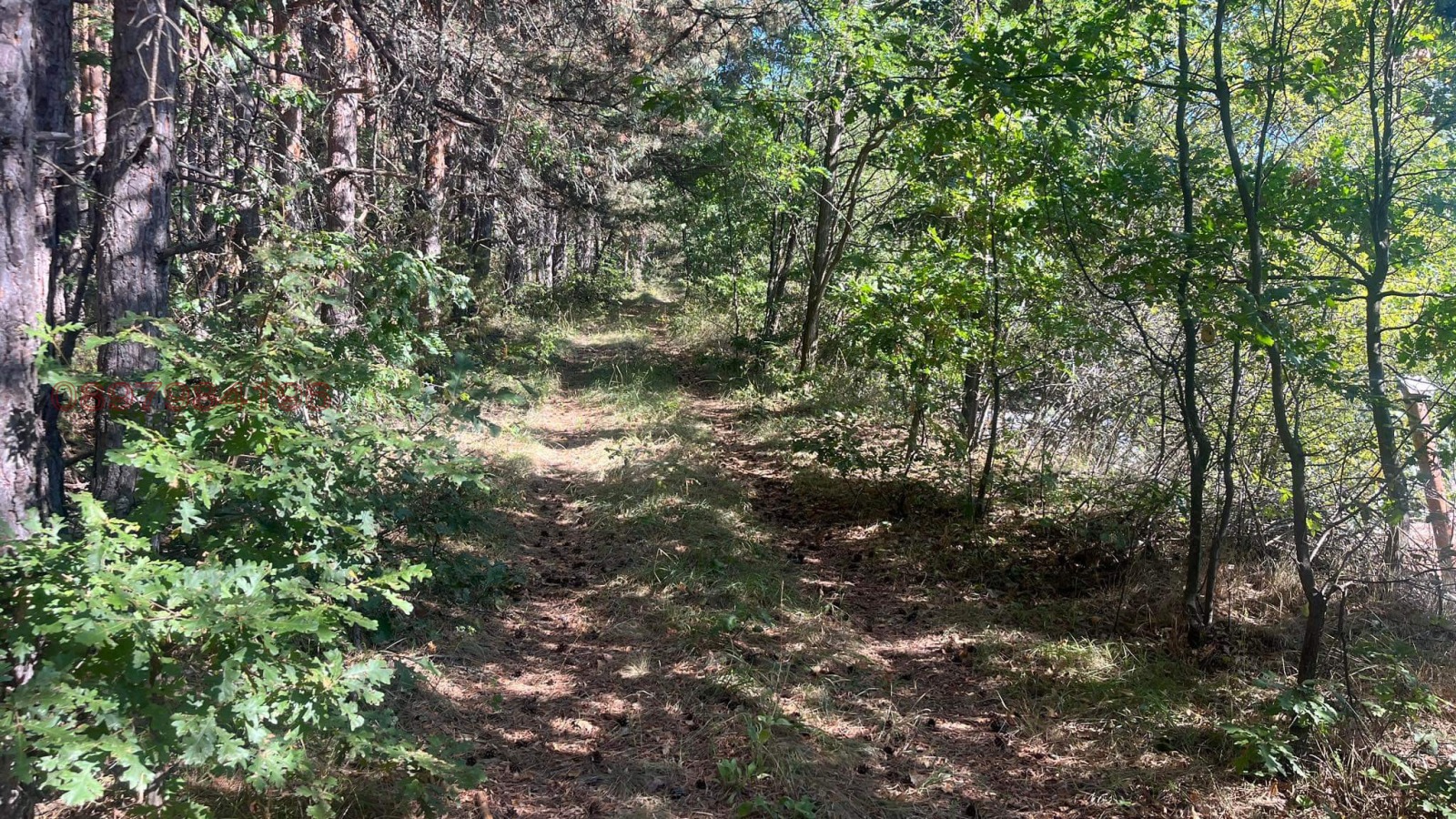 Продава ПАРЦЕЛ, гр. София, с. Плана, снимка 3 - Парцели - 53777219