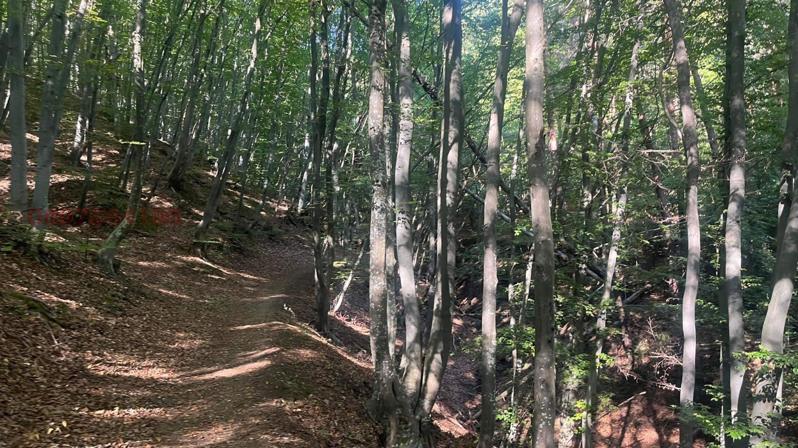 Продава ПАРЦЕЛ, гр. София, с. Плана, снимка 6 - Парцели - 53777219