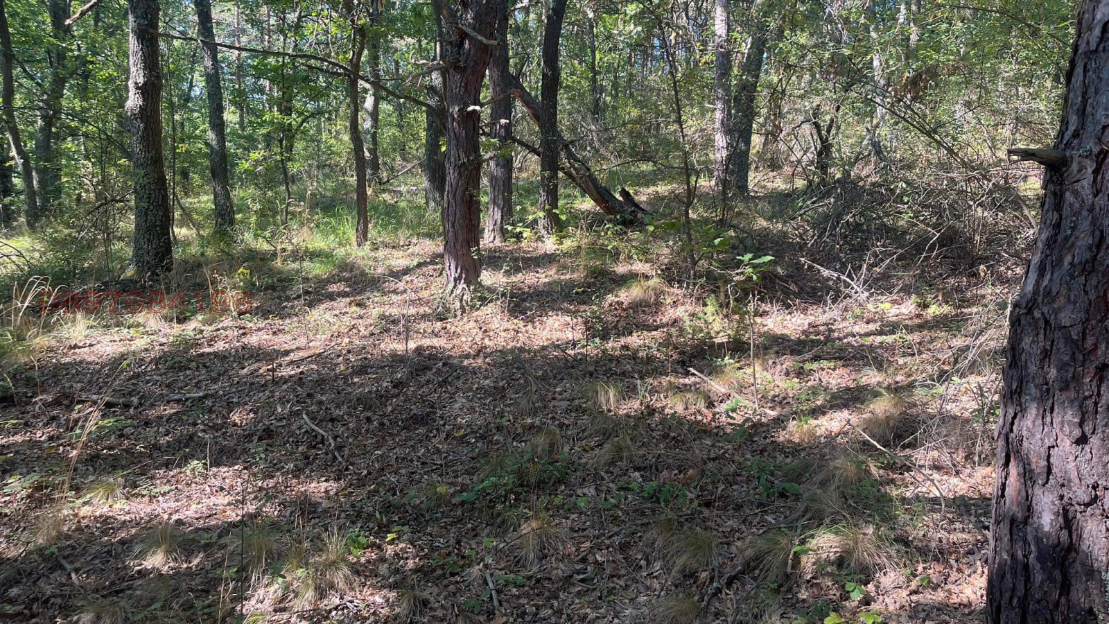 Продава ПАРЦЕЛ, гр. София, с. Плана, снимка 2 - Парцели - 53777219