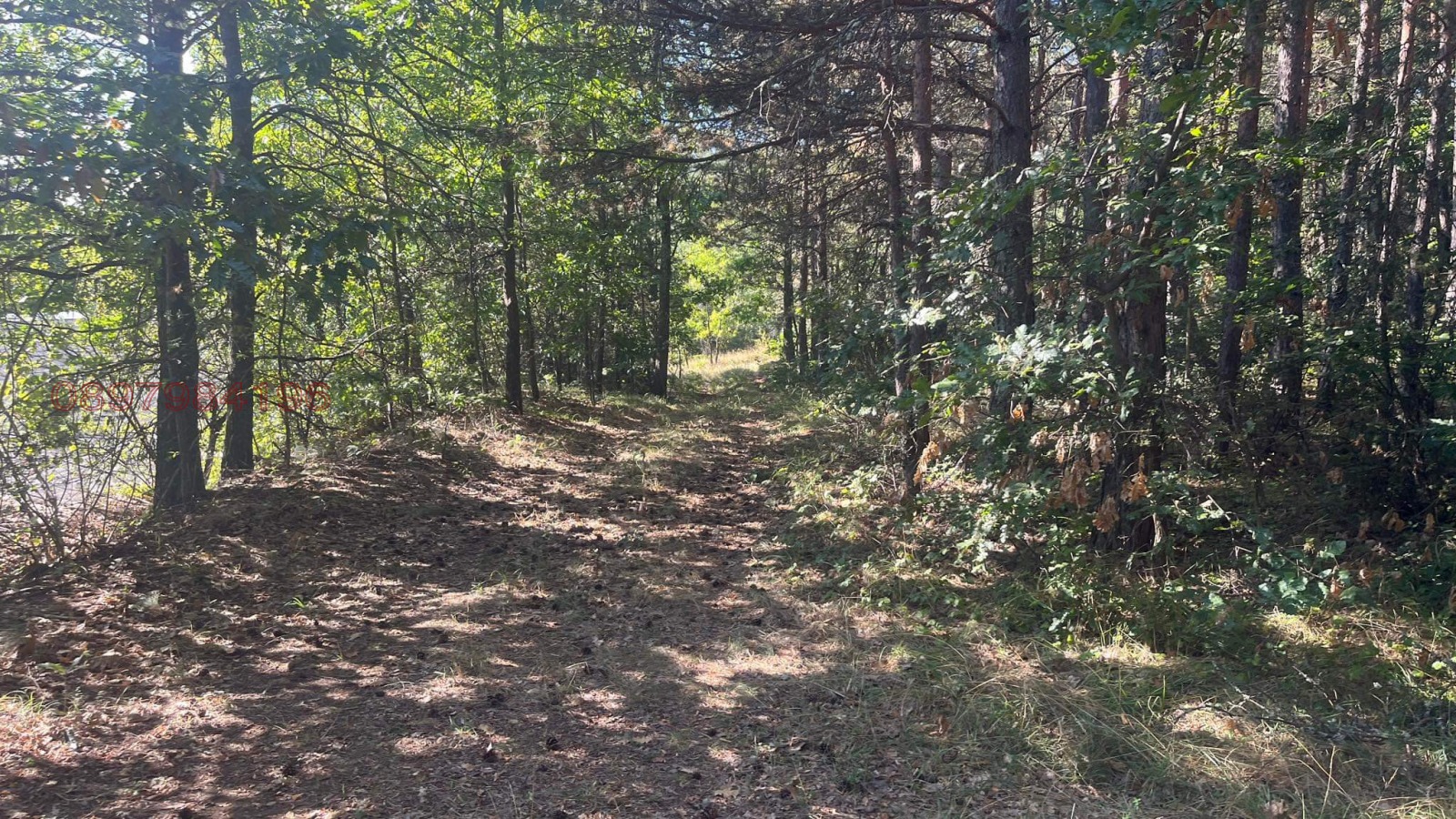 Продава ПАРЦЕЛ, гр. София, с. Плана