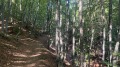 Продава  Парцел град София , с. Плана , 2000 кв.м | 42468284 - изображение [6]