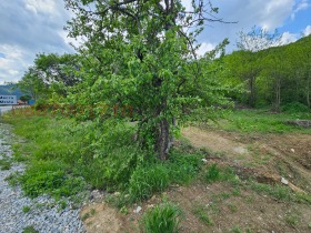 ������� ���������� ���� | Imot.bg � ����� ������ 5