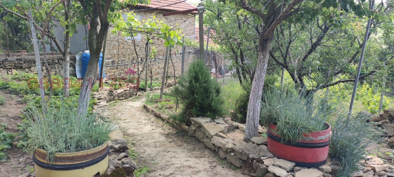 Продава КЪЩА, с. Буковец, област Велико Търново, снимка 7 - Къщи - 52779938