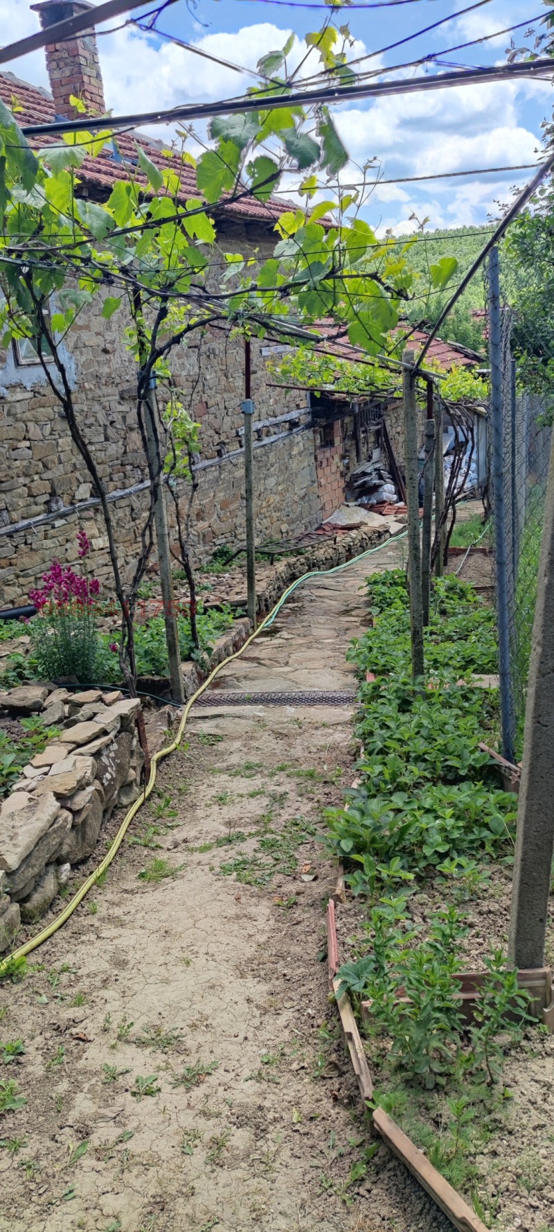 Продава КЪЩА, с. Буковец, област Велико Търново, снимка 6 - Къщи - 52779938