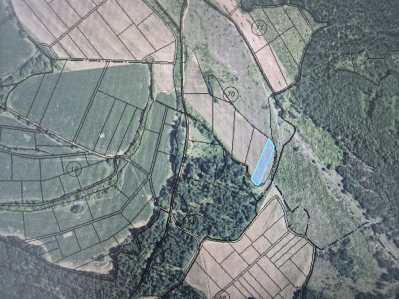 Продава ЗЕМЕДЕЛСКА ЗЕМЯ, с. Белопопци, област София област, снимка 2 - Земеделска земя - 52614936