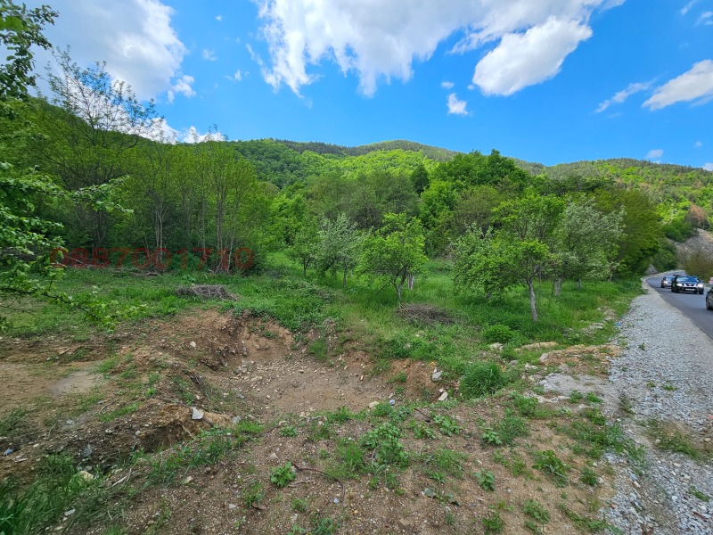 Продава ЗЕМЕДЕЛСКА ЗЕМЯ, с. Места, област Благоевград, снимка 5 - Земеделска земя - 53595052