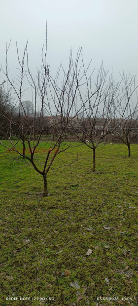 ������� ���� | Imot.bg � ����� ������ 7