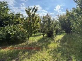 ������� ���� | Imot.bg � ����� ������ 17