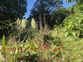 ������� ���� | Imot.bg � ����� ������ 11
