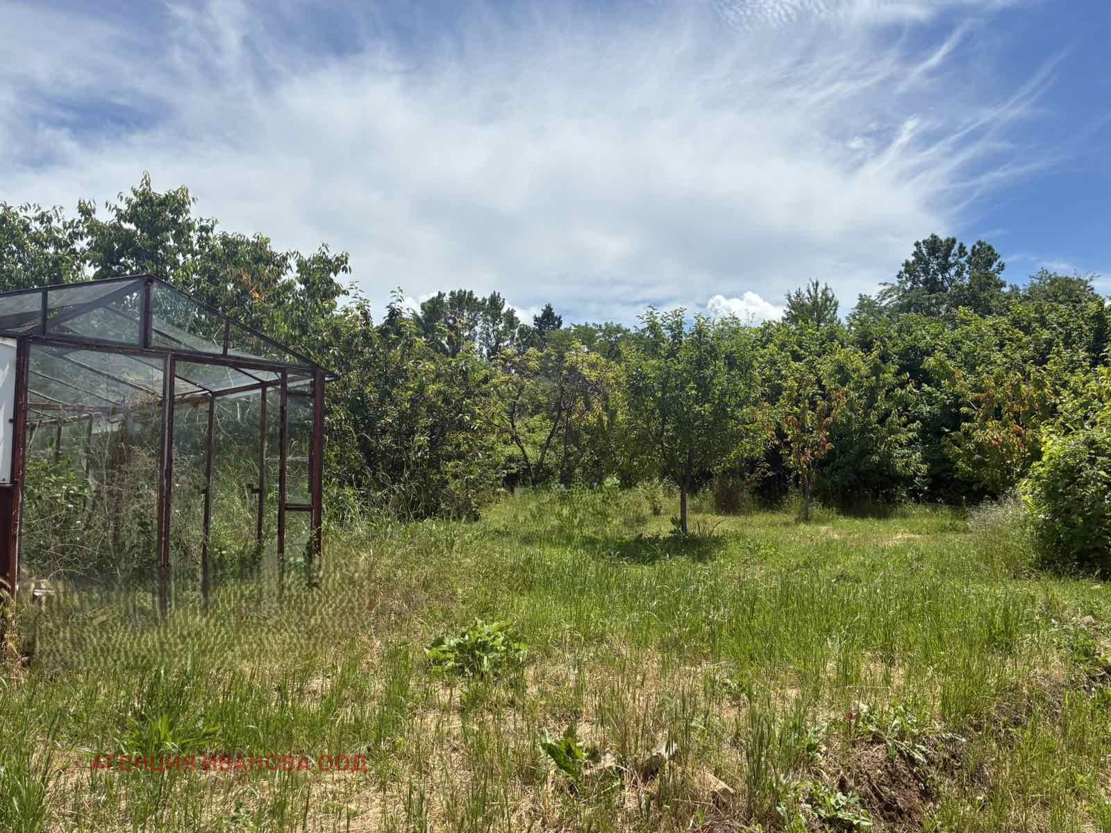 Продава КЪЩА, с. Медовина, област Търговище, снимка 15 - Къщи - 54961277
