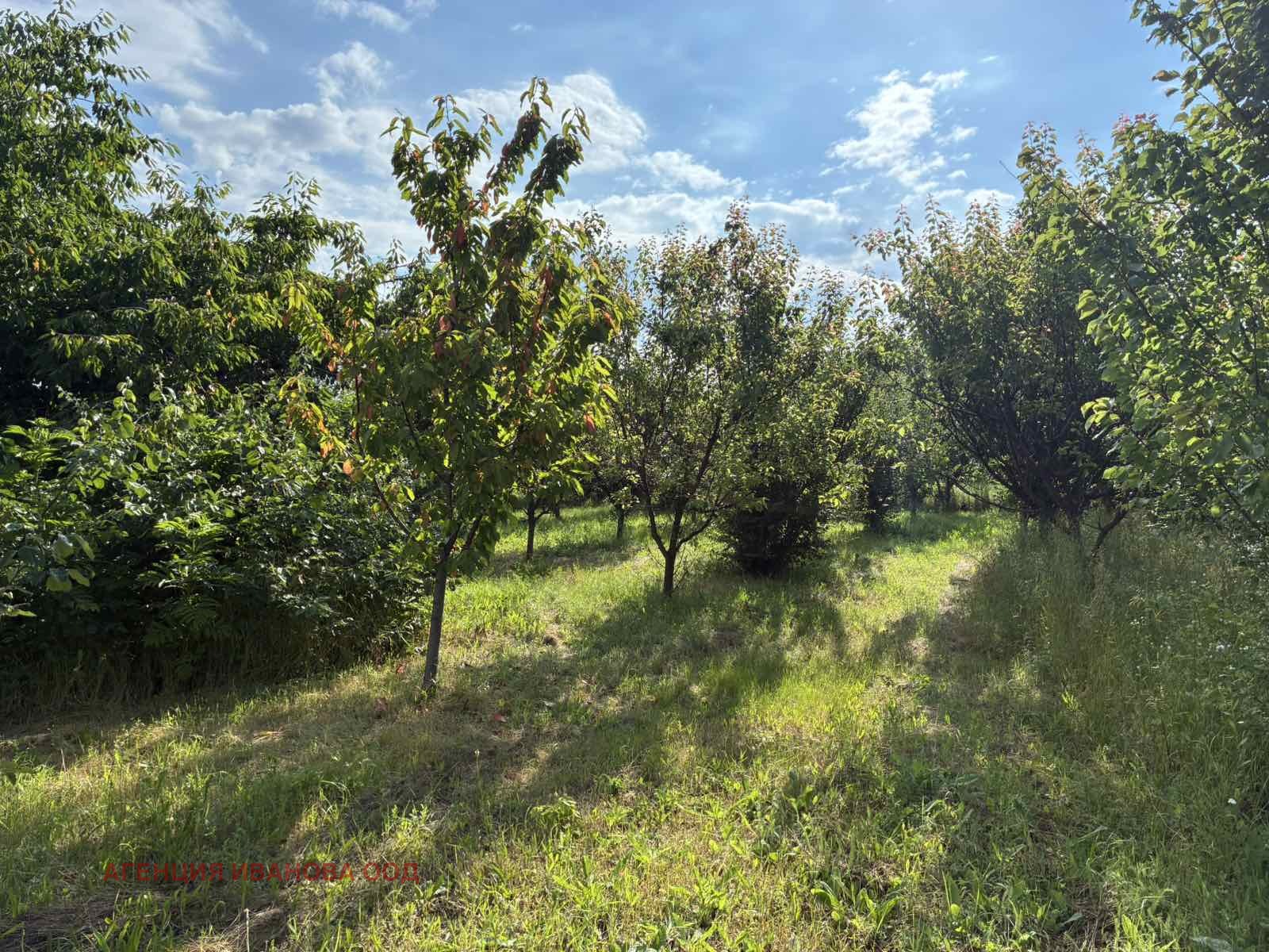 Продава КЪЩА, с. Медовина, област Търговище, снимка 17 - Къщи - 54961277