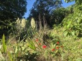 Продава КЪЩА, с. Църква, област Добрич, снимка 12