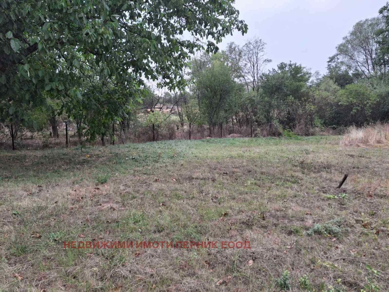Продава  Парцел област Перник , с. Расник , 869 кв.м | 41489749 - изображение [2]