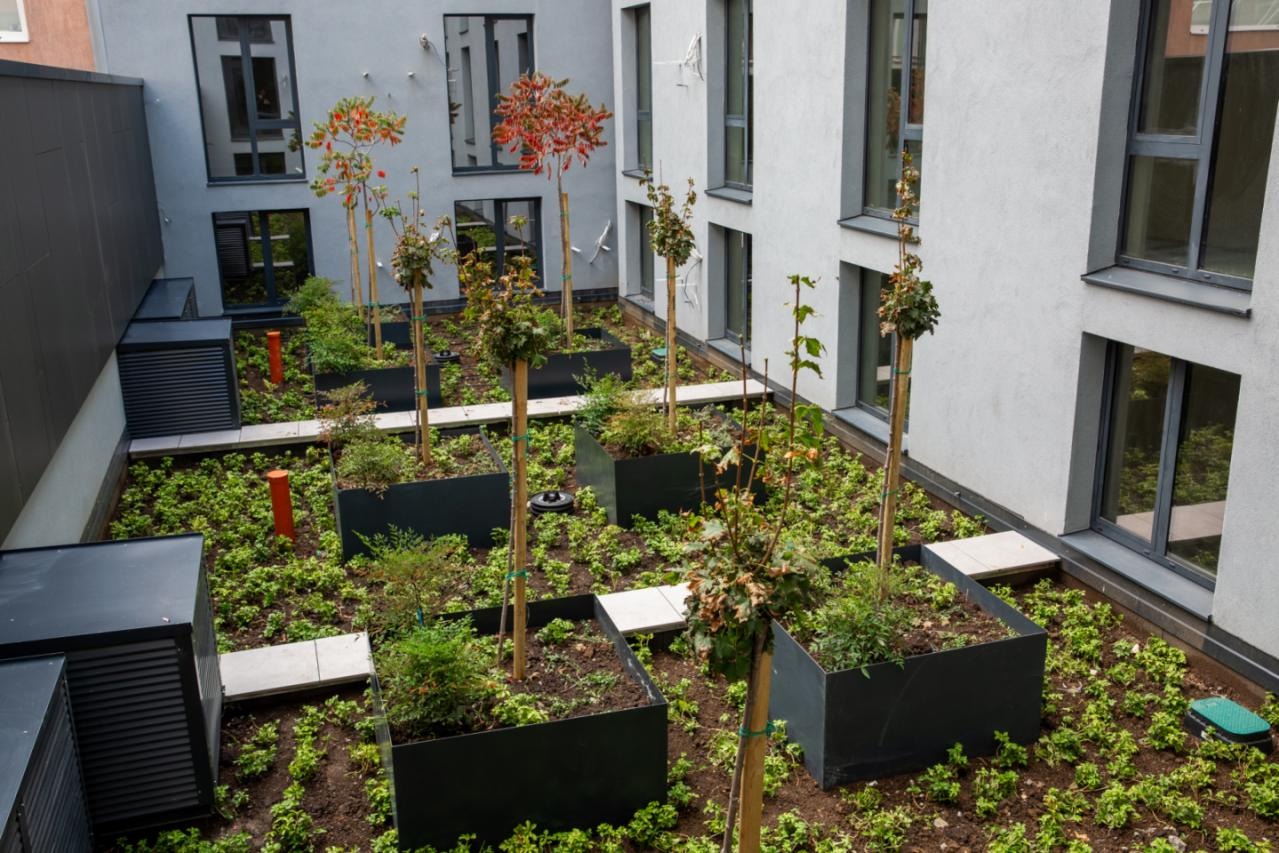 Продава 3-СТАЕН, гр. Велико Търново, Център, снимка 12 - Апартаменти - 53438491