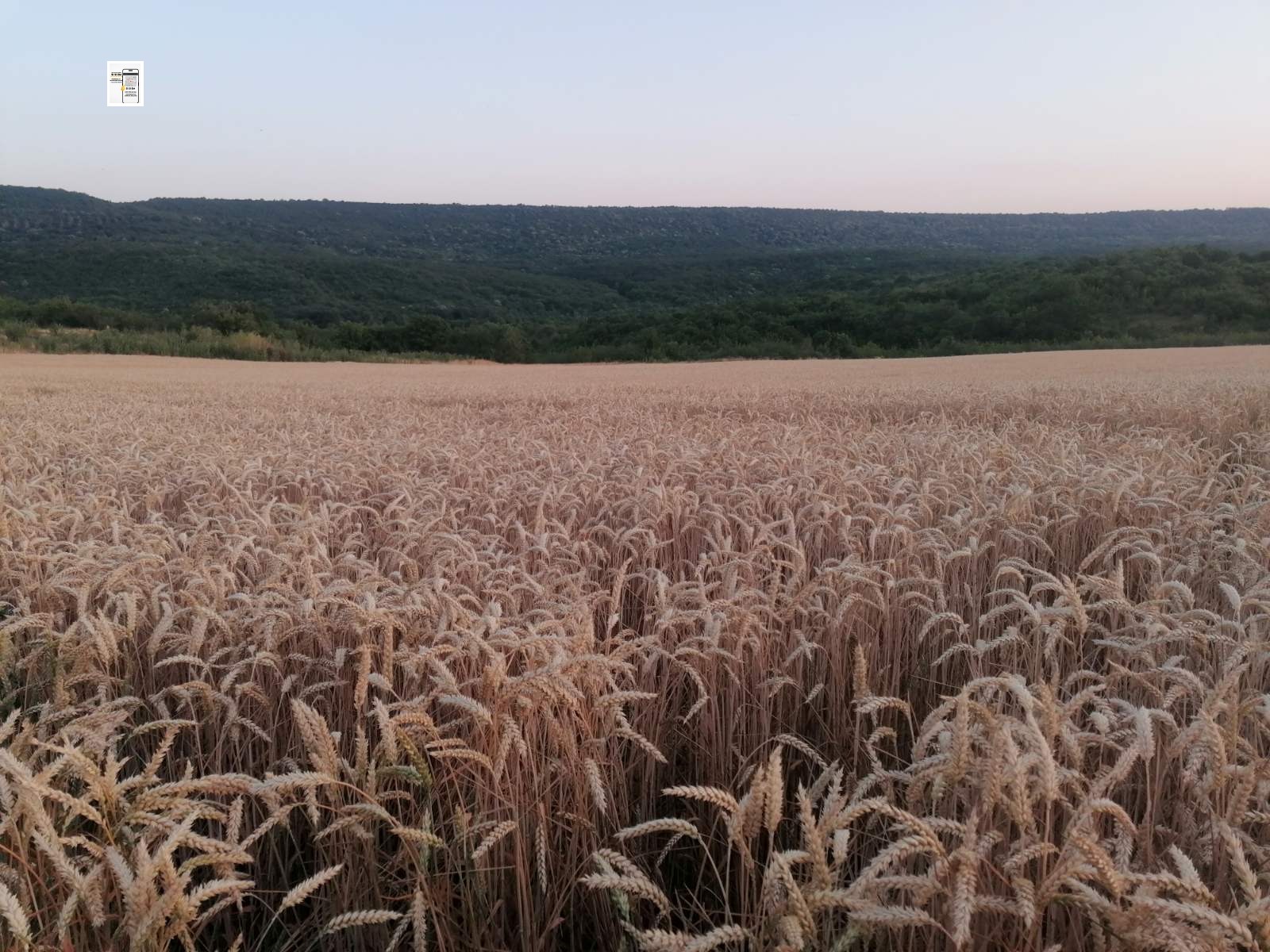 Продава ЗЕМЕДЕЛСКА ЗЕМЯ, с. Църква, област Добрич