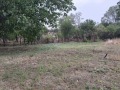 Продава ПАРЦЕЛ, област Перник, с. Расник • 75000 лв. • 29302142 — Holmes.bg