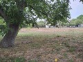 Продава ПАРЦЕЛ, област Перник, с. Расник • 75000 лв. • 29302142 — Holmes.bg
