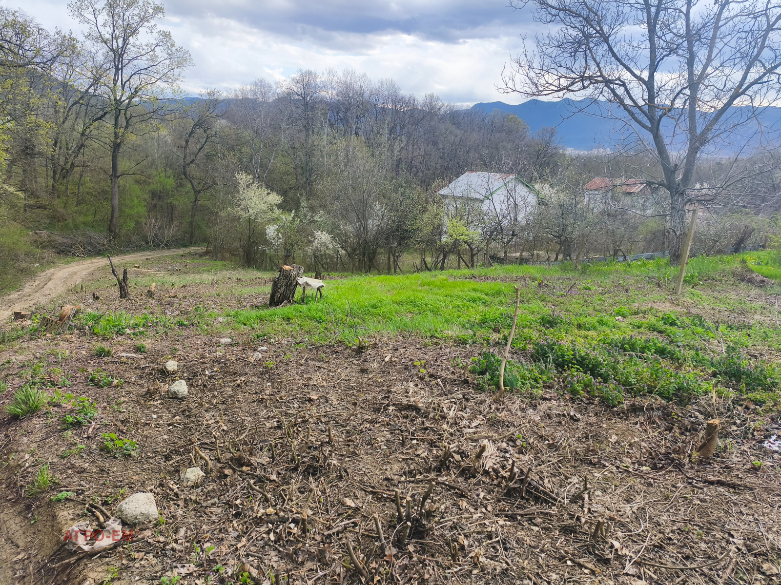 ������� ���� | Imot.bg � ����������� 8