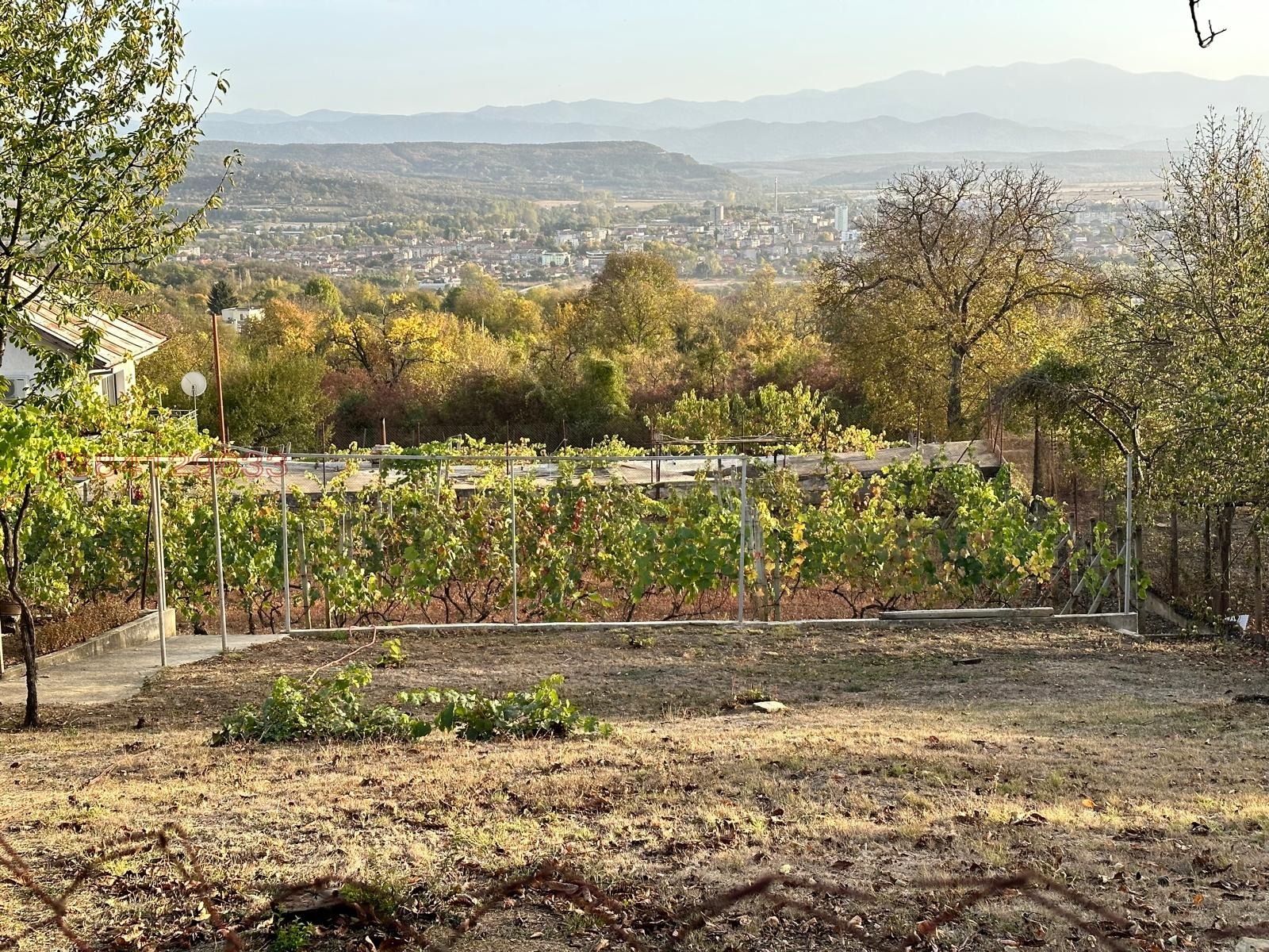 ������� ���� | Imot.bg � ����������� 8