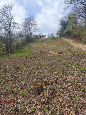 ������� ���� | Imot.bg � ����� ������ 13