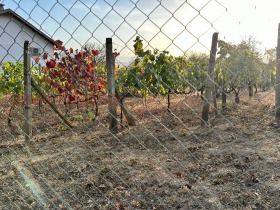 ������� ���� | Imot.bg � ����� ������ 15