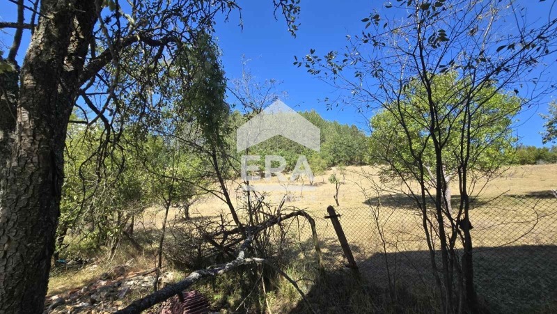 Продава КЪЩА, гр. Трън, област Перник, снимка 16 - Къщи - 55986567