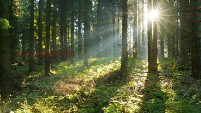 Продава ЗЕМЕДЕЛСКА ЗЕМЯ, с. Калугерово, област София област