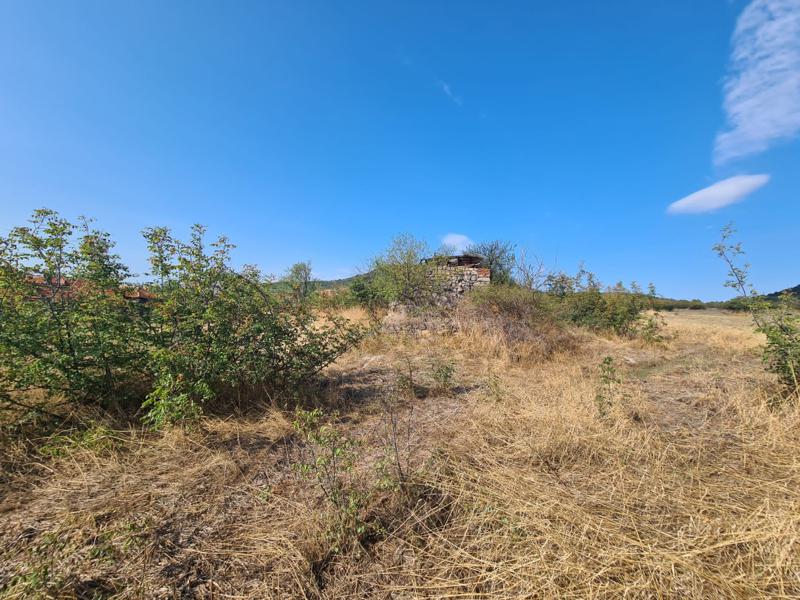 ������� ������ | Imot.bg � ����������� 8