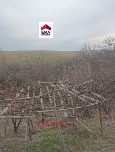 ������� ������ | Imot.bg � ����������� 3