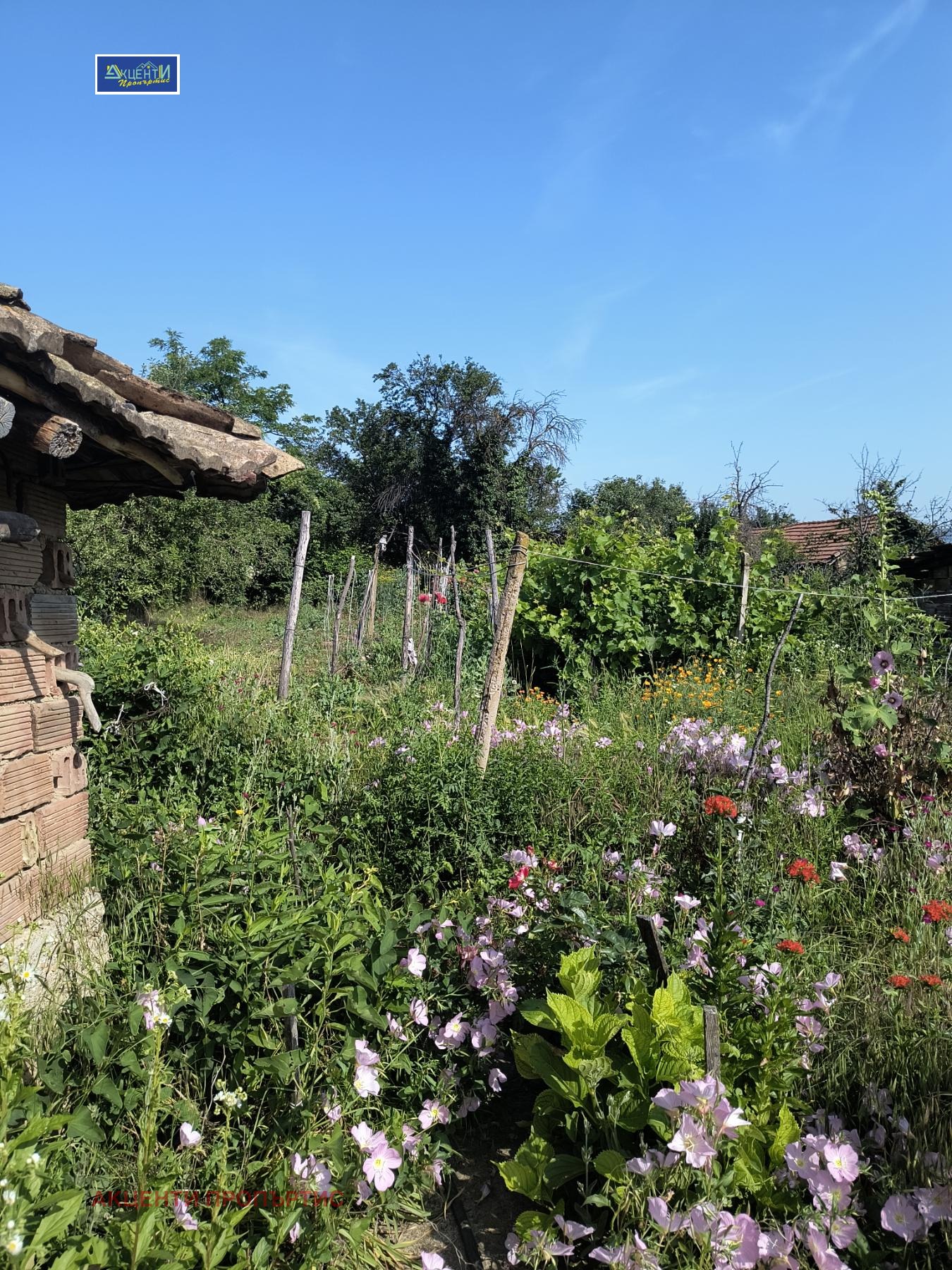 ������� ���� | Imot.bg � ����������� 11