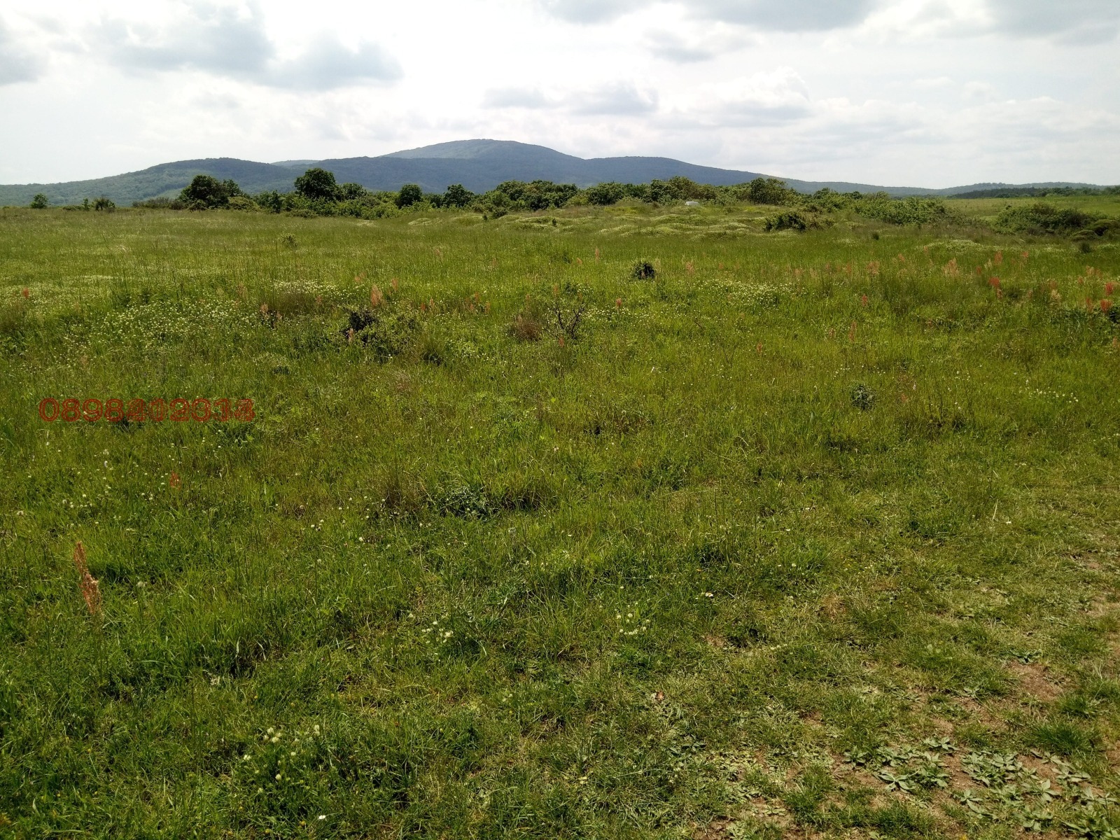 Продава ПАРЦЕЛ | Imot.bg — изображение 10