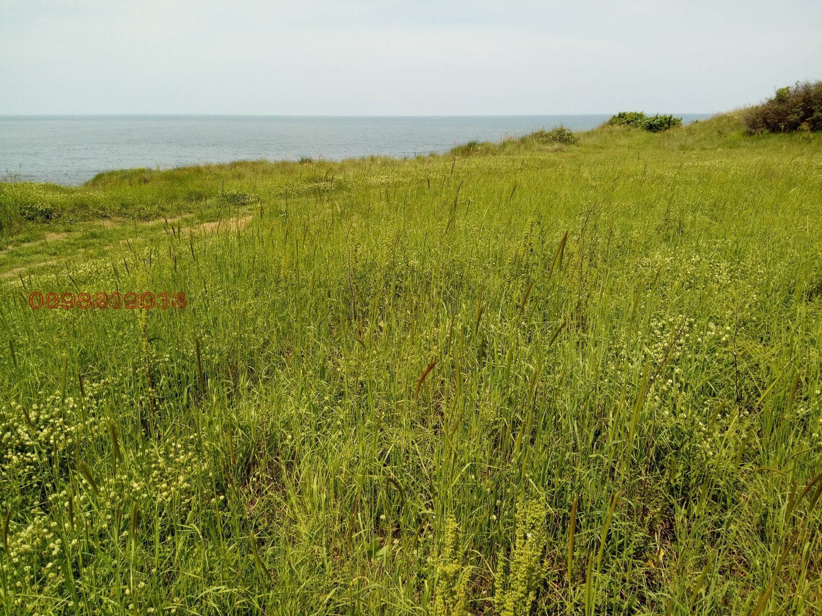 Продава ПАРЦЕЛ | Imot.bg — изображение 5