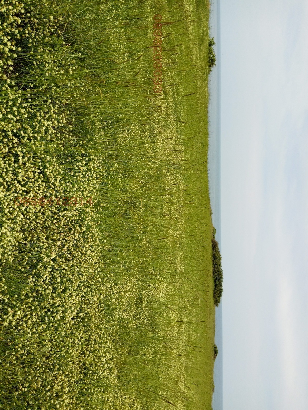 Продава ПАРЦЕЛ | Imot.bg — изображение 3