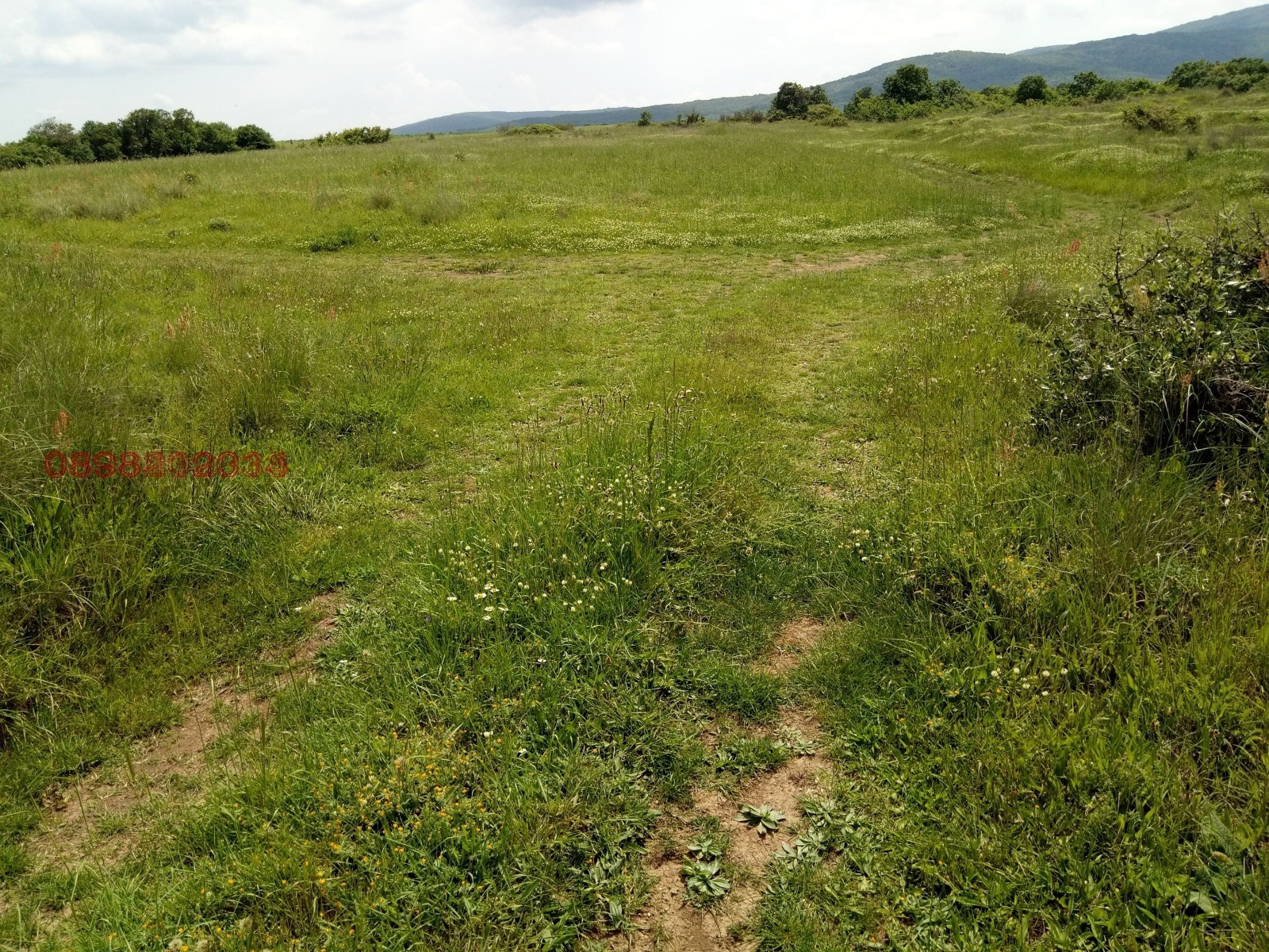 Продава ПАРЦЕЛ | Imot.bg — изображение 1