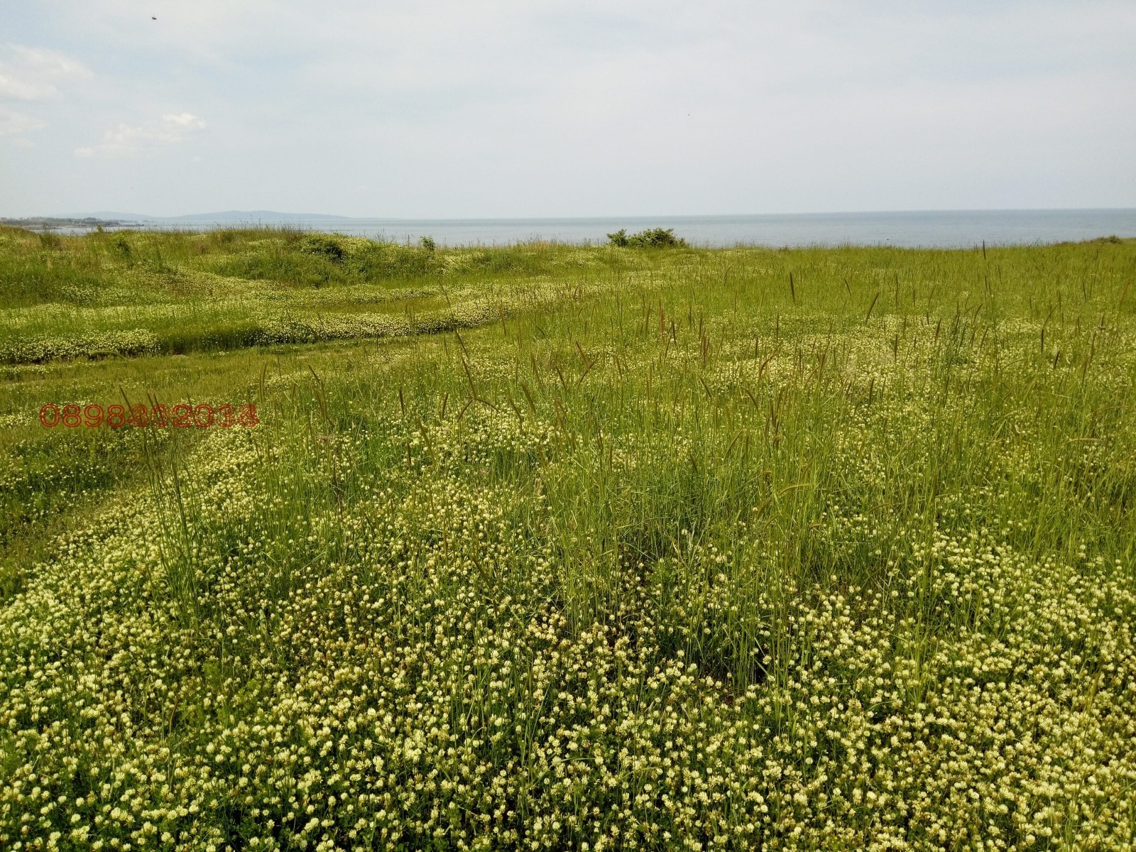 Продава ПАРЦЕЛ | Imot.bg — изображение 4