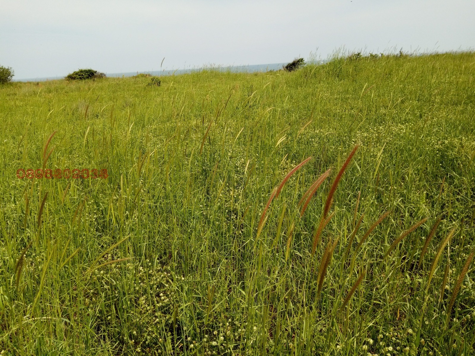 Продава ПАРЦЕЛ | Imot.bg — изображение 7