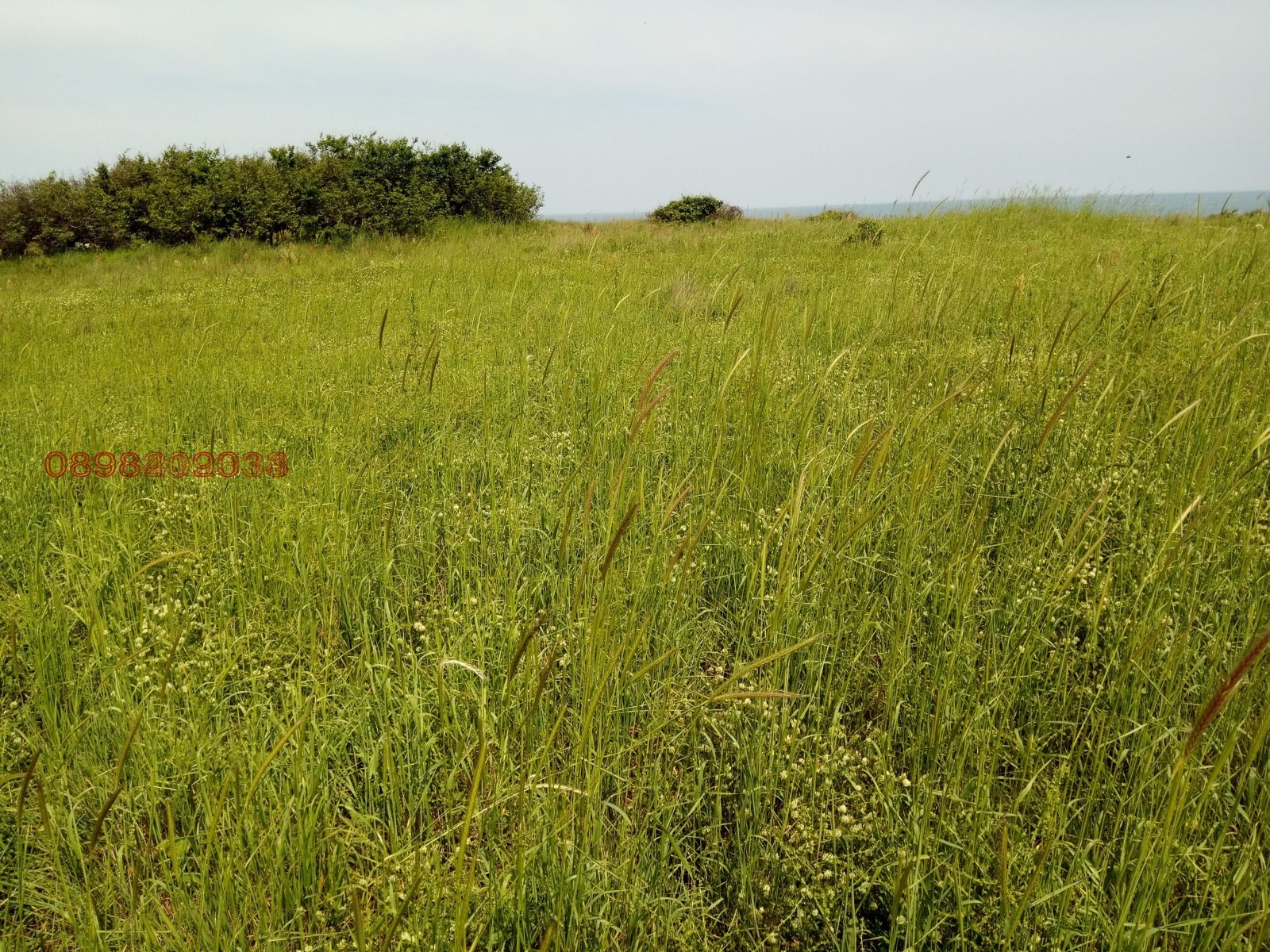 Продава ПАРЦЕЛ | Imot.bg — изображение 6