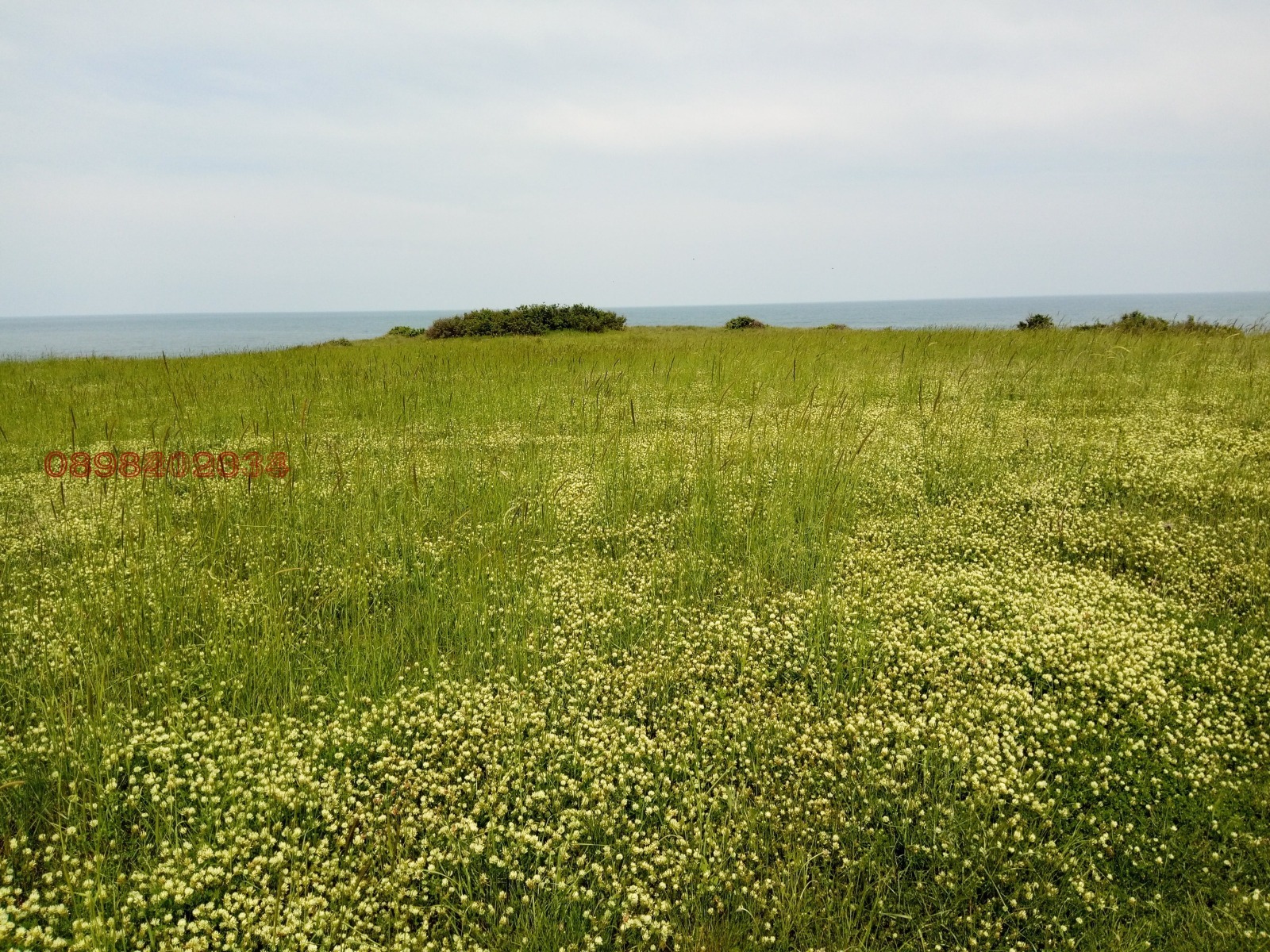 Продава ПАРЦЕЛ | Imot.bg — изображение 2