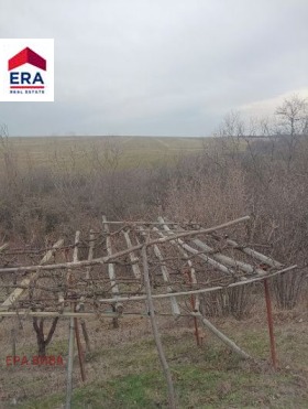 ����� ������� ������,���� �����, �. �����