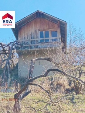 ����� ������� ������,���� �����, �. �����