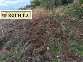 ������� ������ | Imot.bg � ����� ������ 2